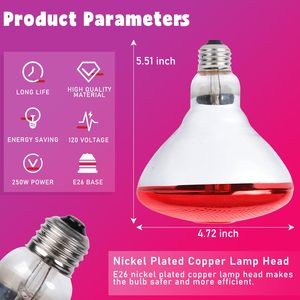 Gran oferta, lámpara roja infrarroja de 250W <span class=keywords><strong>para</strong></span> <span class=keywords><strong>reptiles</strong></span>, luces de calor nocturnas con bombilla de día de cristal <span class=keywords><strong>para</strong></span> mascotas de <span class=keywords><strong>reptiles</strong></span> de pollito - Product Image 5