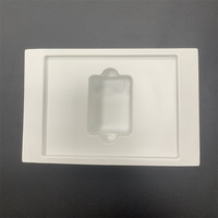Plateaux d'emballage blister en plastique de couleur claire, respectueux de l'environnement, pour téléphone portable, montre intelligente, appareil photo et haut-parleurs, vente en gros, OEM