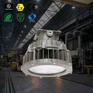 Ce EPR <span class=keywords><strong>ul</strong></span> 20kv tăng đàn áp IP65 60W 70W 80W 100W 120W 200W LED chống cháy nổ đèn lũ - Product Image 1