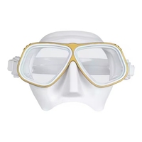 Masque de plongée avec impression de logo personnalisé et cadre métallique Masque de plongée gratuit pour adolescents hommes femmes