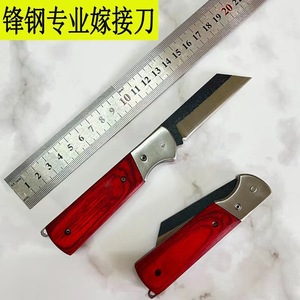 มีดพับสำหรับต่อกิ่ง ทำจากเหล็กกล้าคาร์บอนสูง ขนาด 100 มม. ใบมีดตรง ด้ามไม้ อุปกรณ์ทำสวน - Product Image 4