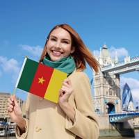 Drapeau du Cameroun à tenir à la main 14x21cm, petits drapeaux nationaux personnalisés en polyester avec bâton en bois de 30cm, pour les fêtes, les festivals, les défilés et la décoration.