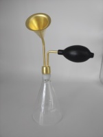 Bouteille de diffuseur d'huile essentielle en verre transparent de 300ml pour Spa Salon Club soins de la peau sérum parfum de grain de café outils de thé en laiton