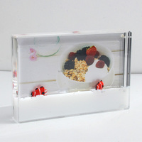 Cadre photo acrylique personnalisé sur le thème des animaux avec panda, pingouin, ours polaire, flotteur, Aqua Blox, insert liquide coloré 4*6 5*7