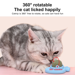 Jouet interactif pour chat : Balle rotative écologique à la catnip, style fruit, à fixer au <span class=keywords><strong>mur</strong></span>, avec friandises à la menthe - Product Image 5