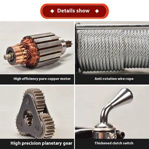 روافع كهربائية عالية الجودة 1 طن 12 فولت/24 فولت رافعات فولاذية لتطبيق رافعات للبيع - Product Image 5