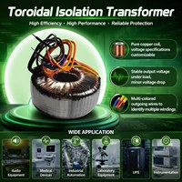 Transformateur toroïdal personnalisé en cuivre pur, bobine en aluminium monophasée, multi-sorties 230V vers 48V pour l'audio