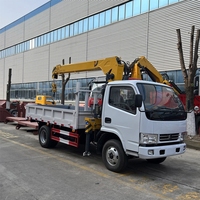 Personnalisez le mini camion mobile de 3,2 tonnes 3200 kilogrammes avec la grue télescopique à vendre