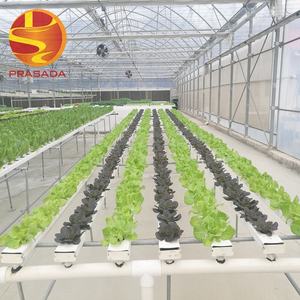 Sistema hidropónico <span class=keywords><strong>NFT</strong></span> de vegetales de hoja Prasada OEM para granja comercial - Product Image 4