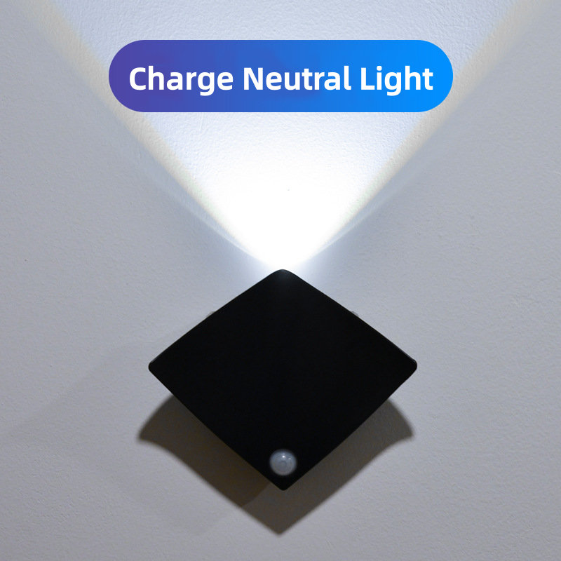 Lumière neutre rechargeable noire [induction nocturne]