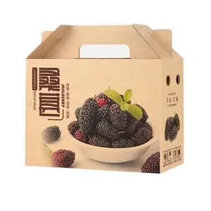 Paper boxes luxury fruit coated printing delicate fruit gift carbon with handle for festival