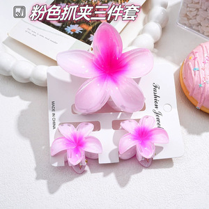Nuovo arrivo 3 pezzi Set di artigli per capelli con fiore d'uovo colore sfumato per uso quotidiano alla moda o accessori per capelli da vacanza - Product Image 2