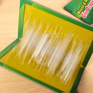 Piège à colle pour <span class=keywords><strong>souris</strong></span>, plaque collante anti-rongeurs - Product Image 6