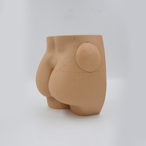 Hemşirelik öğrenciler eğitim mankeni İnsan anatomisi kas içi enjeksiyon simülatörü anatomik kalça enjeksiyon modeli - Product Image 3