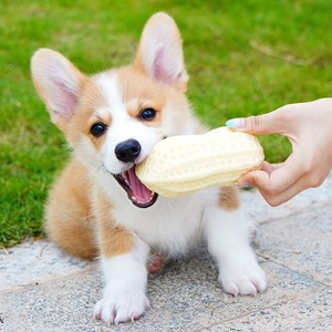 Jouet pour chien de dentition résistant à mâcher mignon grand petit chien auto-divertissement artefact 1 4 mois jouet ennuyeux - Product Image 1