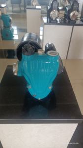 LOONA Hot Sell nuovo sistema di aspirazione auto-adescante <span class=keywords><strong>Lowara</strong></span> 1hp girante <span class=keywords><strong>pompa</strong></span> acqua autoadescante <span class=keywords><strong>pompa</strong></span> a getto per il mercato egitto - Product Image 5