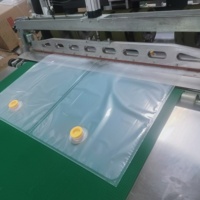 Sacs BIB personnalisés de 10 L, transparents, de qualité alimentaire, PA/PE+PE, avec bec verseur, aseptiques, imprimés en gravure, valve, pour liquides pasteurisés (œufs, jus)