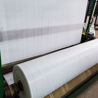 Couleur blanche agricole Agro-textile Paysage Tissu Contrôle des mauvaises herbes Tissu Tapis Couvre-sol