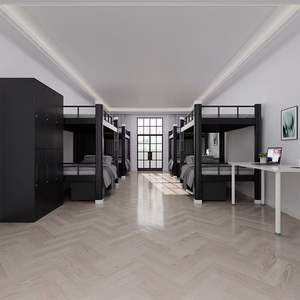 Luxo Dormitório Ferro Cama Venda quente Duplo Beliche Funcionários Quarto Apartamento Hospital Mobiliário Durável Simples Design Moderno Metal - Product Image 5