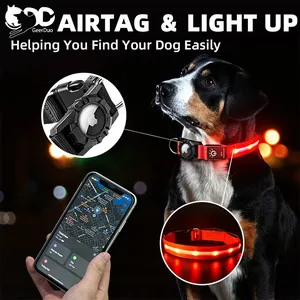 ปลอกคอสุนัขนำสัตว์เลี้ยงพร้อมแท็กอากาศเรืองแสงได้มีไฟ LED ชาร์จไฟได้มีไฟกะพริบ100% IPX7