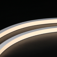 Tira de Neón de Silicona de Alta Luminosidad 1616, IP67 Impermeable, Iluminación Decorativa Lineal, Tira LED de Alta Transmitancia de Luz