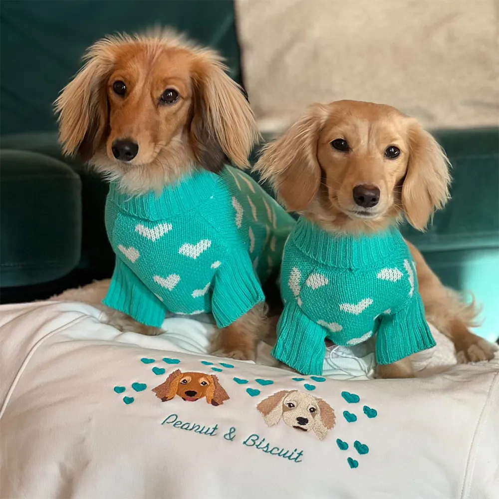 Qiqu Pet Supplier Custom New Designer Knitted Dog Sweater Heart Pattern Cat clothes Pet Sweatshirt Heart Jumper Jersey for Dogs