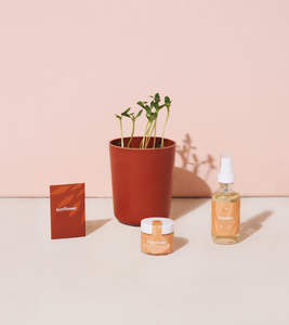 Risvegliare il design minimalista viso nebbia di bambù zucchero di girasole kit di utilizzo del pavimento con fiore artificiale in fibra vegetale - Product Image 6