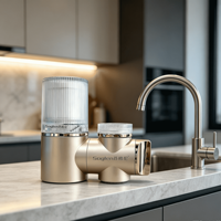 Purificateur d'eau du robinet, pression d'eau adaptable de 0,1 à 0,4 MPa, filtre pour robinet domestique avec accessoires d'installation complets