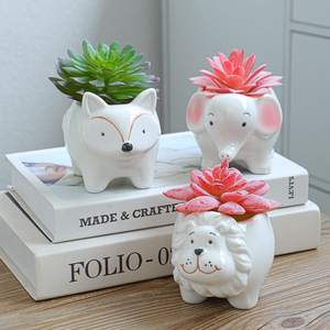 <span class=keywords><strong>Pot</strong></span> à plantes succulentes en céramique pour décoration de jardin bonsaï en forme d'animal - Product Image 5