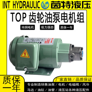 Pompe à engrenages 380V 12A 1 étage, pompe hydraulique taïwanaise pour lubrification de machines-outils et utilisation sur machines à vis - Product Image 3