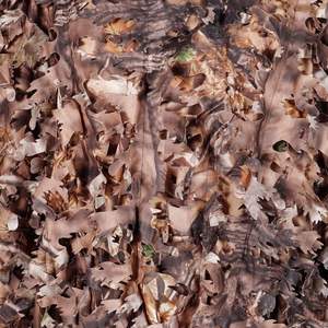 AUSCAMOTEK 3D Leafy <b>Poncho</b> Ghillie Suit Camouflage Cloak Cape Waterproof Hunting Wear <b>Men</b> - Product Image 6