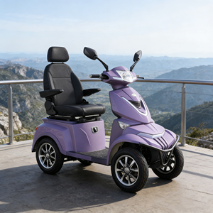 Newly Designed /Electric Tricycle Scooter/ 48V Battery Brushless /Motorcycle Electric /Three-Wheeler Vista Quater-3 - Product Image 1