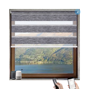 Deyi-cortinas eléctricas inteligentes para decoración del hogar, <span class=keywords><strong>doble</strong></span> capa, transparentes y a rayas, <span class=keywords><strong>con</strong></span> filtro de luz, motorizadas, cebra - Product Image 3