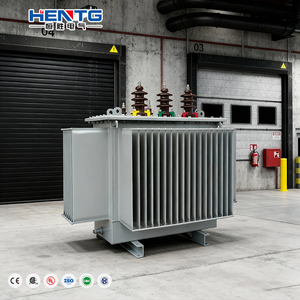 محول طاقة مغمور بالزيت S11 3 كيلو فولت 3 كيلو فولت 3 33 100 أمبير 200 أمبير 500 أمبير 600 أمبير 1250A 2 ميجا فولت مع مخرج V/V مدخل 10 كيلو فولت - Product Image 1