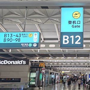 Cartello Direzionale Aeroportuale Oversize e Mappa 'Sei Qui' con Superficie Laminata Anti-Riflesso - Product Image 2