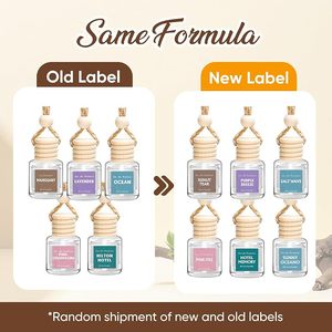 Lot de 12 désodorisants de voiture, diffuseur de <span class=keywords><strong>parfum</strong></span> pour voiture, pour femmes et hommes, accessoires de voiture, <span class=keywords><strong>parfum</strong></span> léger à suspendre pour l'intérieur de la voiture - Product Image 2