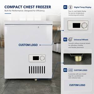 Congelador Horizontal Grande de 600L, Gran Capacidad, Dos Puertas, Refrigeración Profunda, para Uso Comercial en Restaurantes - Product Image 3