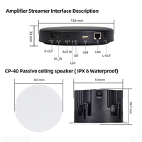 Module amplificateur pour haut-parleur de plafond Texas Instruments avec puce Hi-Fi, prise en charge du réseau, Bluetooth, AirPlay, DLNA et lecture multi-sources musicales