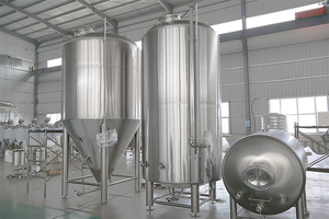 Fermentatore in Acciaio Inox Tonsen France 500l 2000l 3000l, Attrezzatura per Lavorazione Bevande e Vino - Product Image 6