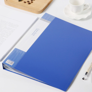 Biểu tượng tùy chỉnh A4 thư Kích thước rõ ràng PP hiển thị cuốn sách trường hợp trình bày lưu trữ giữ cuốn sách cho tác phẩm nghệ thuật sơn tập tin nộp hồ sơ - Product Image 3