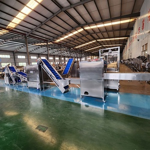 DY hành tây bột Dây chuyền sản xuất hành tây nhẫn làm cho máy thép không gỉ 500-1000 kg/giờ mất nước hành tây dây chuyền sản xuất - Product Image 2