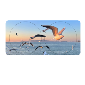 Xiangta personnalisé imprimé pliable voiture fenêtre pare-soleil couverture bouclier avant pare-brise voiture pare-soleil pour voiture rayons UV - Product Image 1