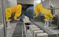 Machine de peinture au pistolet pour bras, robot de peinture automobile
