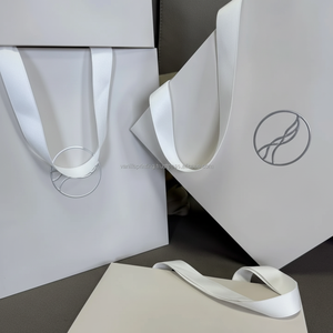 Luxury Custom Logo Printed Paper Bag <b>Ribbon</b> Handle Durable Plastic Material for Clothing Food Exhibition Promotion Use Wallet - Product Image 1