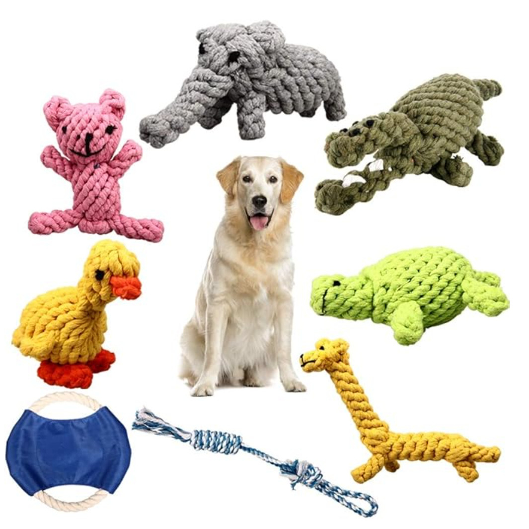 Coffret 8 pièces sur le thème des animaux, environ 810g