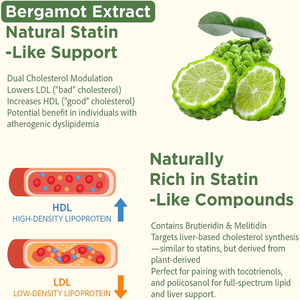 แคปซูลนิ่มคุณภาพสูงจากพืช ช่วยควบคุมคอเลสเตอรอล ปกป้องสุขภาพหัวใจและหลอดเลือด และบำรุงสุขภาพตับ - Product Image 4