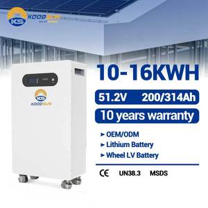 Batterie solaire basse tension Premium KOODSUN 16 kWh 51,2 V 314 Ah avec roues mobiles pour dispositif de mesure de laboratoire de recherche sur les glaciers - Product Image 1