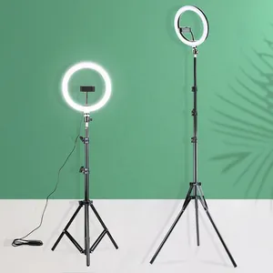 2.1m 삼각 Dimmable 10 인치 Led Selfie 반지 빛, Tiktok 유튜브를 위한 Usb 사진술 램프 ringlight는 구성합니다