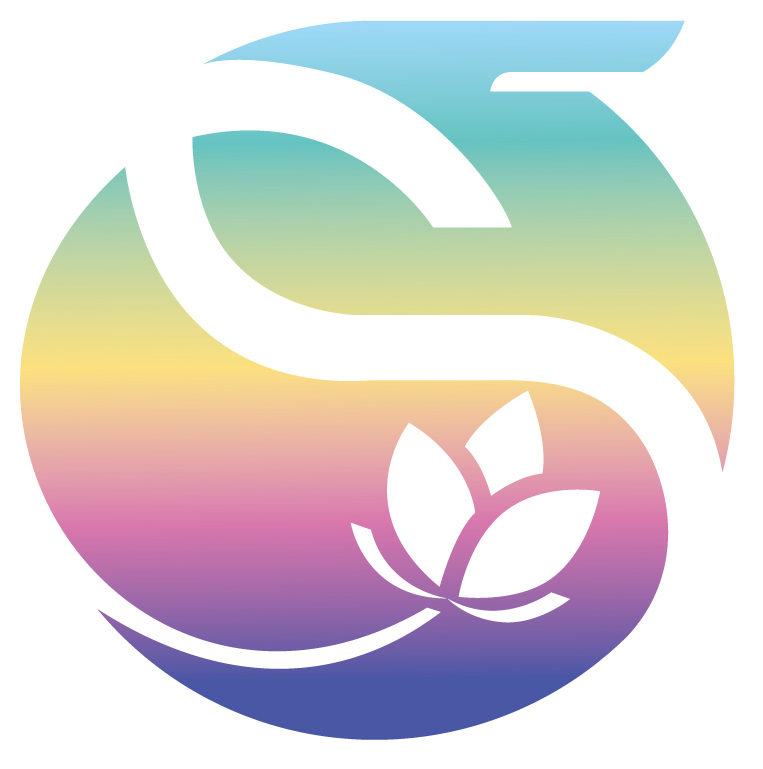 Shantou Chengshi Toy Trading Co., Ltd. logo