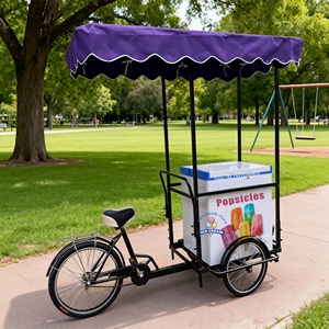 Vélo <span class=keywords><strong>cargo</strong></span> à crème glacée <span class=keywords><strong>non</strong></span> électrique, tricycle à 3 roues, trike/vélo/vélo de ville - Product Image 2